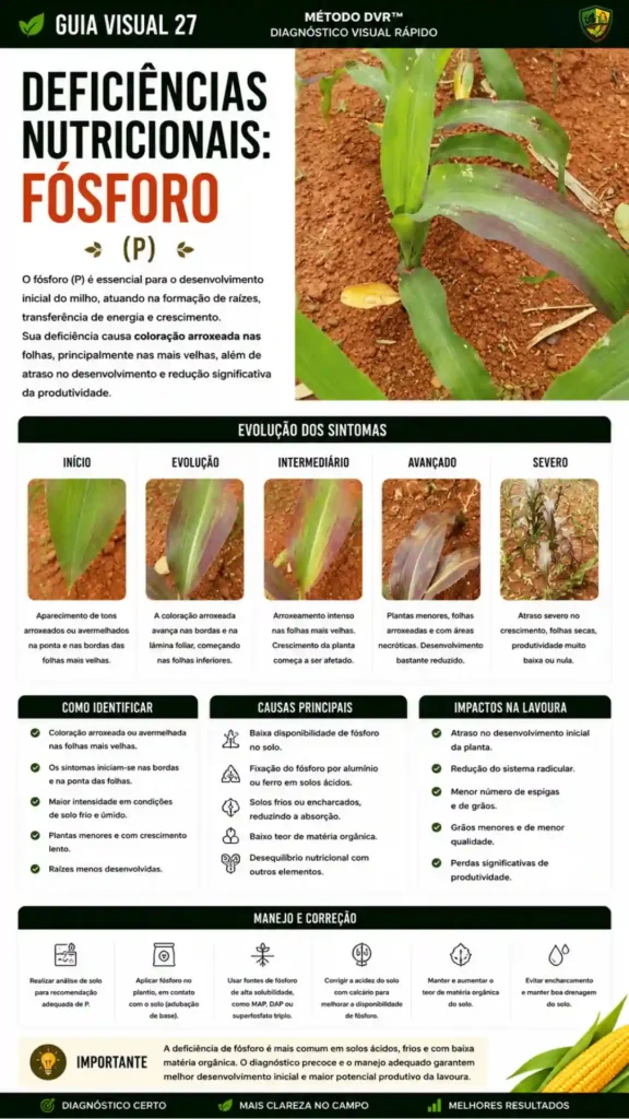 Entregável (1)