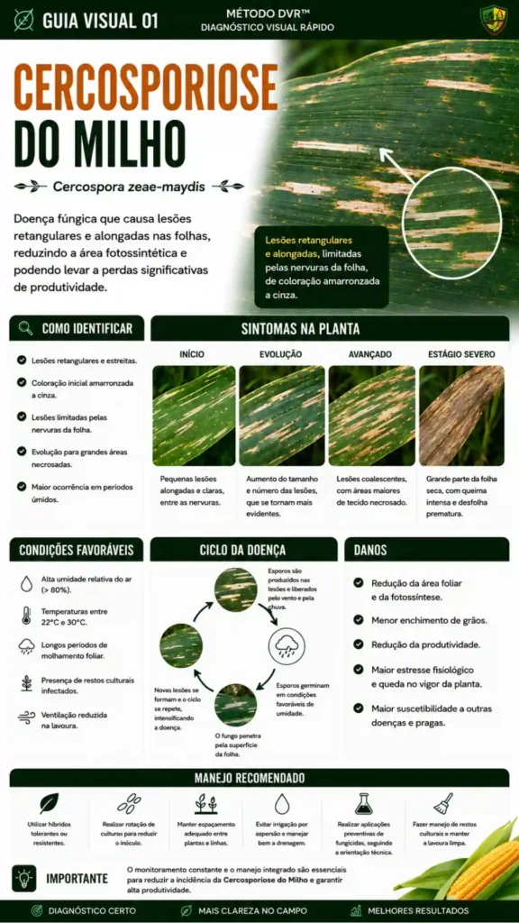 cercospora