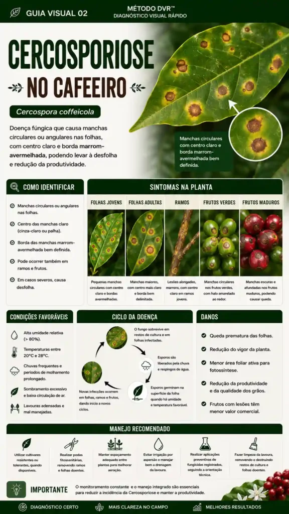 cercospora