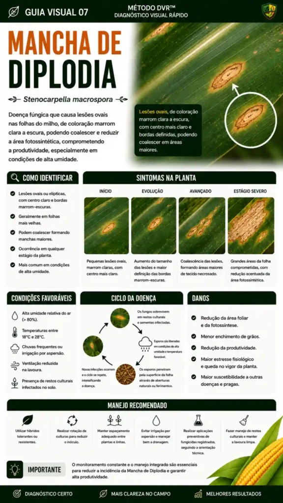 diplodia